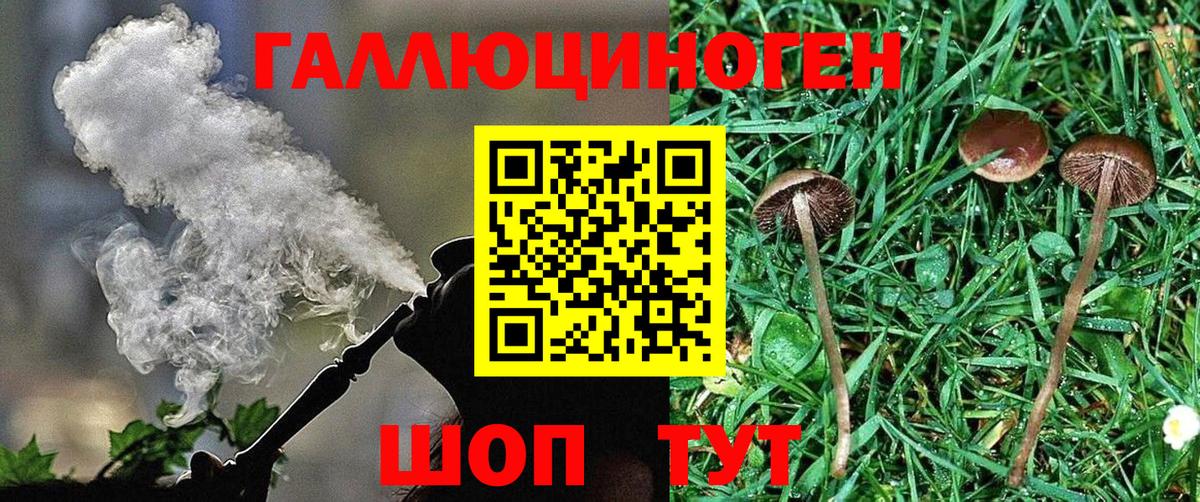 Кингисепп  Галлюциногенные грибы ЛСД  Вход с VPN  Галлюциногенные грибы ЛСД 